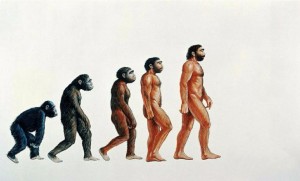 Create meme: Darwin's theory, human evolution, evolution APE to man