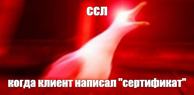 Создать мем: null