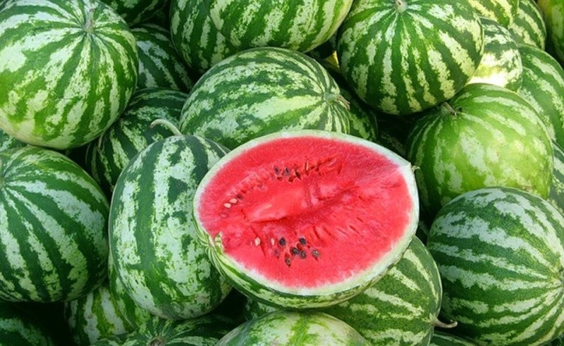 Create meme: astrakhan variety of watermelon chill, astrakhan watermelon chill, marista watermelon