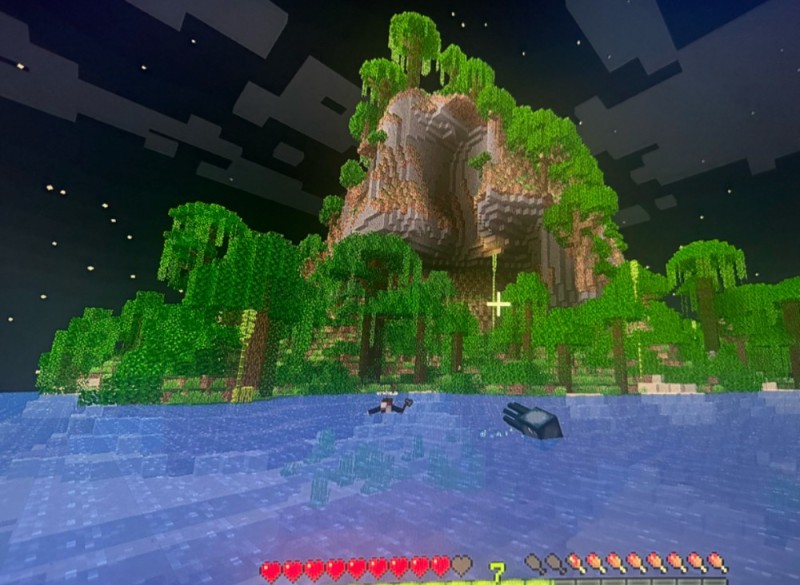 Create meme: Biome jungle in minecraft, minecraft jungle, minecraft biome