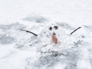 Create meme: winter, winter, the snow fell