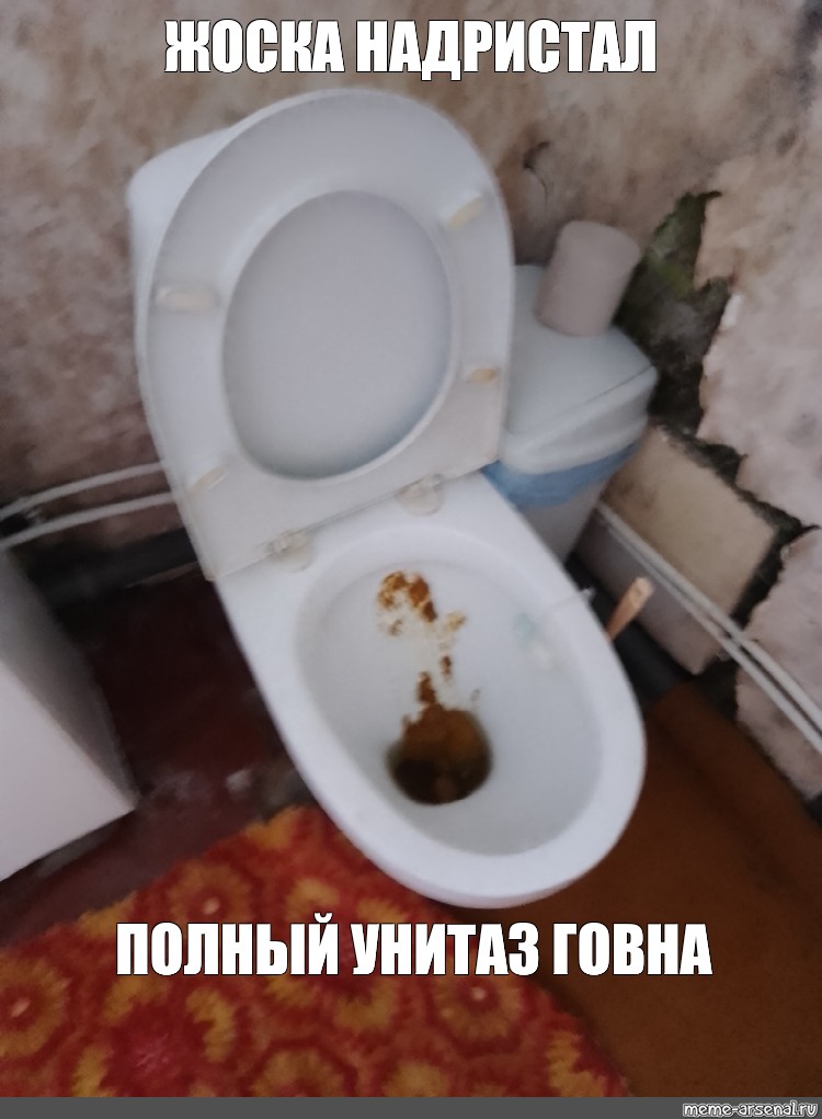 Фото унитаз полный говна