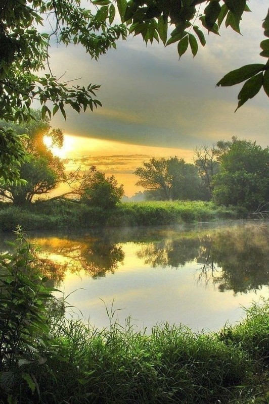 Create meme: summer morning on the river, summer river sun, morning nature