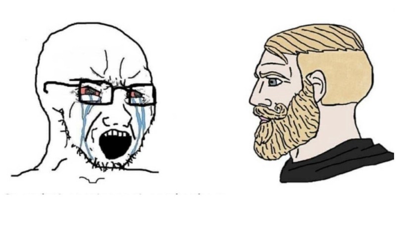 Create meme: memes, wojak chad, bearded man meme