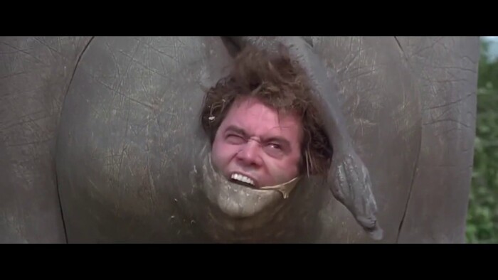 Create meme: Ace Ventura of the rhinoceros, ACE Ventura Rhino, Ace Ventura climbs out of the rhino