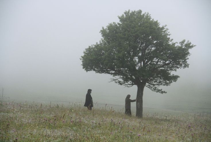 Create meme: A lonely tree in the fog, a lonely tree in a field, interpose memories in the wind 2015