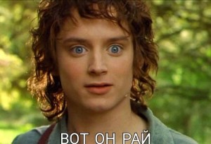 Create meme: the Frodo sumkin, Frodo smiles, Frodo Lord of the rings