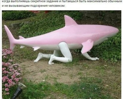 Create meme: The shark is pink, The pink shark is alive, pink shark toy