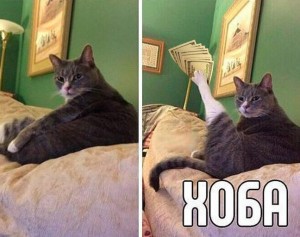 Create meme: risovac, meme hoà original, hoba hoba double cat