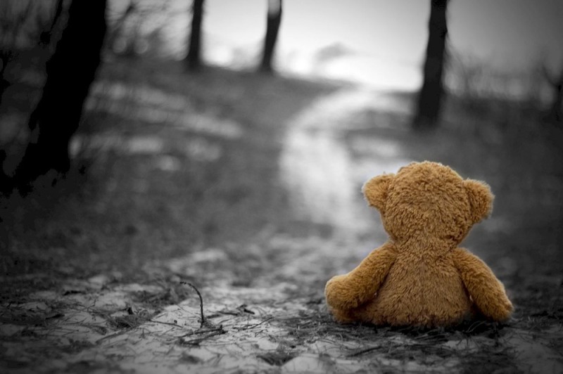 Create meme: sadness sadness, loneliness sadness, abandoned bear