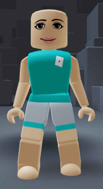 Create meme: the get, lego roblox, the get skins