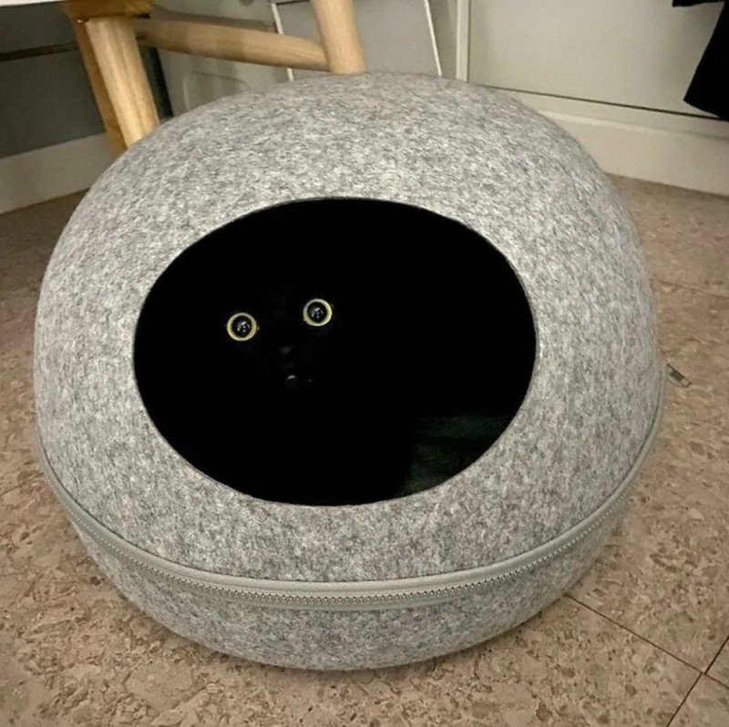 Create meme: a cat house, house for cat, house for cats