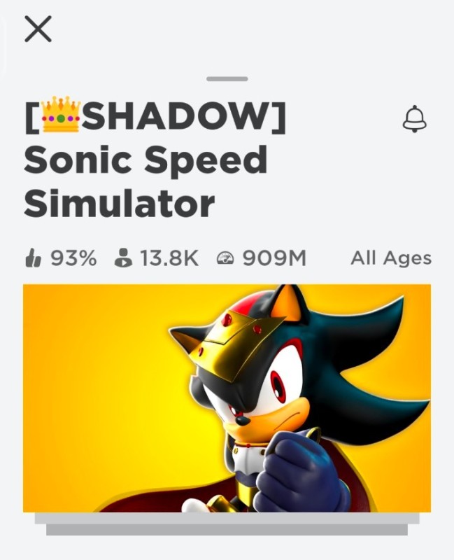 Create meme: sonic speed simulator shadow, sonic speed simulator, shadow sonic