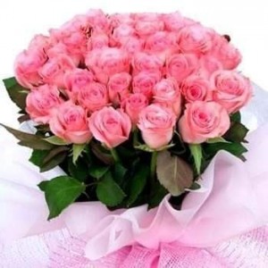 Create meme: bouquet of pink roses, bouquet of pink roses, pink roses