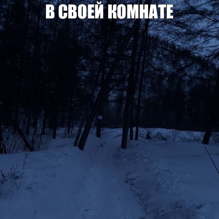 Create meme: interior, dark photos, Winter forest night