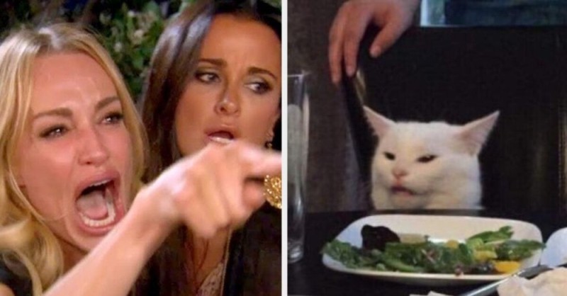 Create meme: meme with a cat and two women original, a meme with a cat and girls at the table, memes with a cat and girls