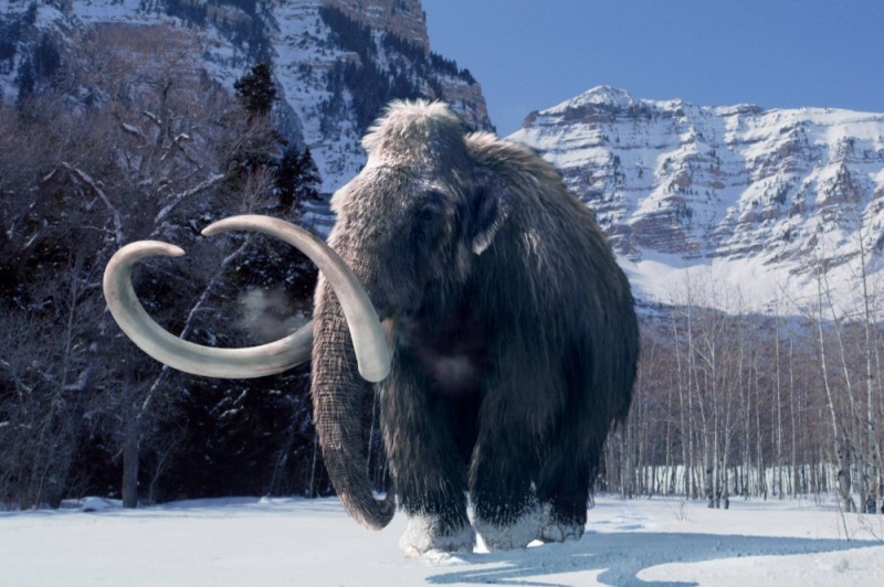 Create meme: mammoth Salekhard, The mammoth ice age, siberian woolly mammoth