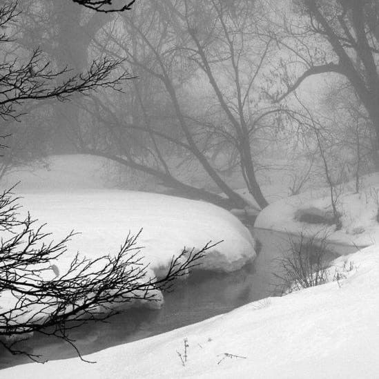 Create meme: grey winter landscape, winter landscapes, black and white nature winter