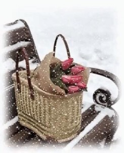 Create meme: flowers, good morning winter