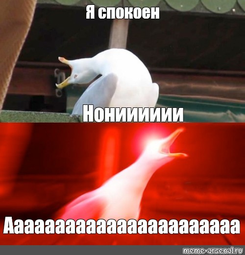 Я спокоен. Я спокоен Мем. Я спокойна я совершенно спокойна кот. Юнги Мем Чайка.