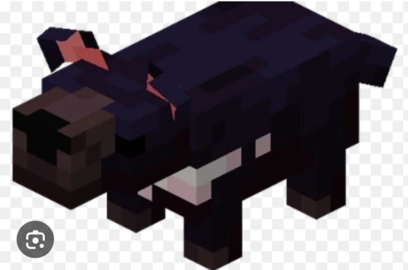 Create meme: Minecraft Ender the Wolf, cow in minecraft, Minecraft 1.20 mobs