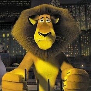 Create meme: Madagascar 2, sad lion from Madagascar, Alex the lion