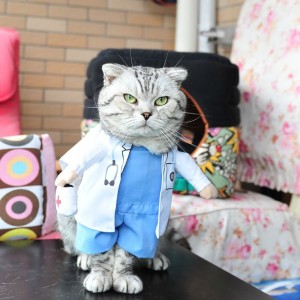Create meme: clothing for cats, cat costume