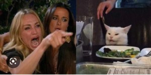 Create meme: meme with screaming woman and a cat, the meme with the cat at the table, MEM woman and the cat