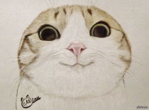 Создать мем: няшные котики, нарисованный няшный котик, cat