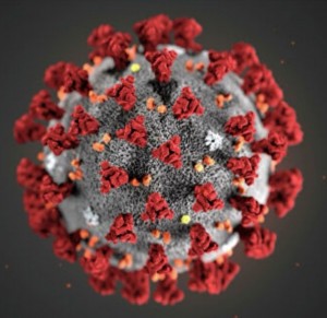 Create meme: corona virus under the microscope, infection with coronavirus, coronavirus virus