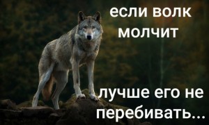 Create meme: memes with wolves 2019, quotes wolf, memes about wolves
