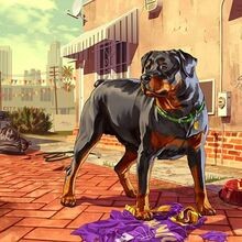 Create meme: GTA 5 dog, dog GTA 5 chop, arts GTA 5 chop