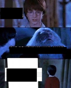 Create meme: Harry Potter