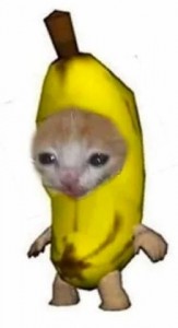 Create meme: funny animals, bananas, animal