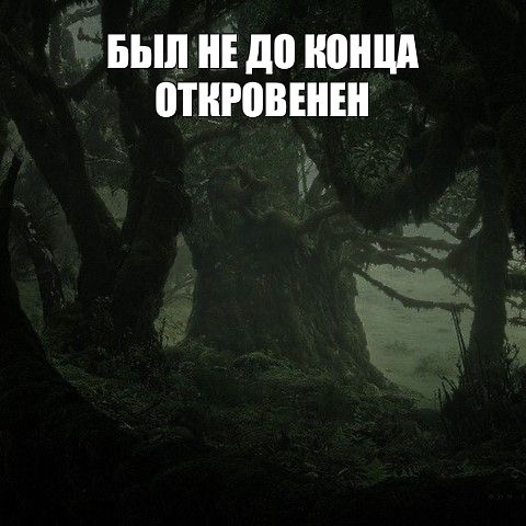 Create meme: nature , forest fairy, fantasy forest