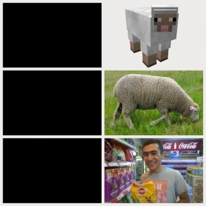 Создать мем: sheep, домашние животные фото овца