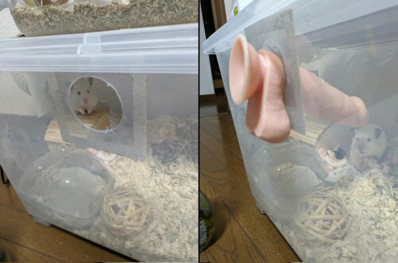 Create meme: a hamster toy, hamster house, The rat house