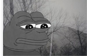 Create meme: frog meme, sad frog, meme of Pepe the frog