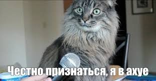 Create meme: surprised cat with microphone, cat in shock, cat with microphone meme