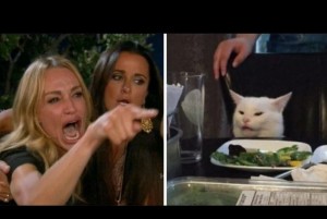 Create meme: cat meme, meme with cats, meme with a cat and two women