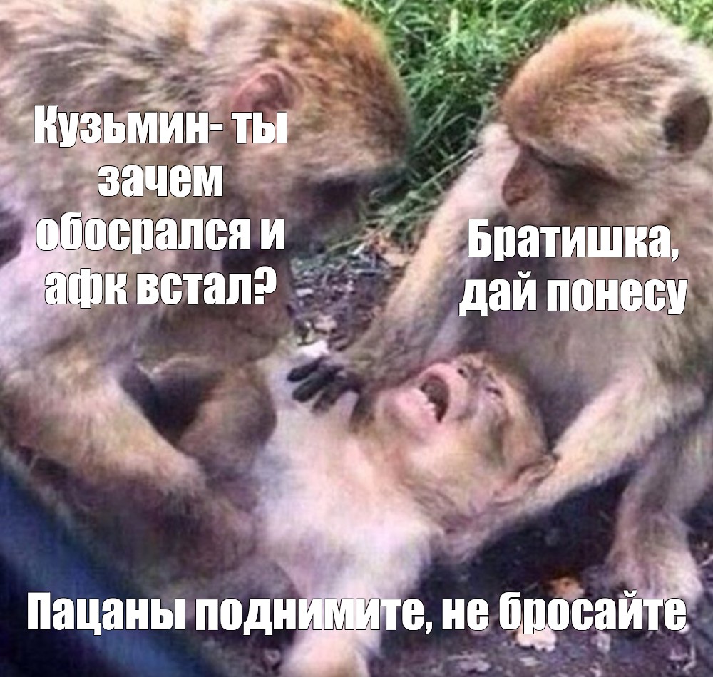 Обезьянка дайте мне спокойно