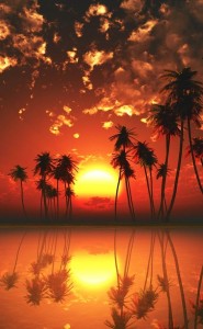 Создать мем: яркий закат, красивый закат, закат пальмы