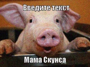 Create meme: happy pig, pig home, pig