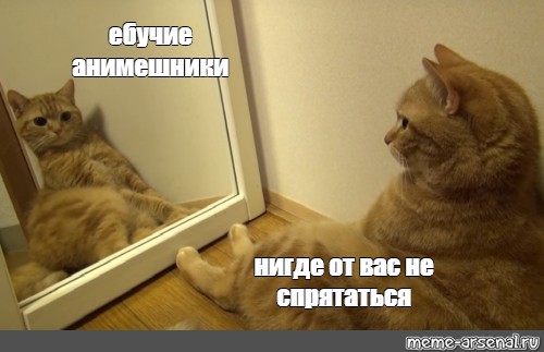 Сomics Meme ебучие анимешники нигде от вас не спрятаться Comics Meme 