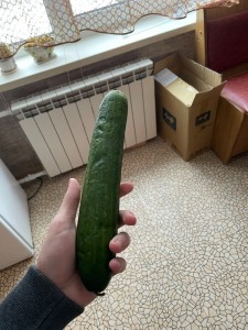 Create meme: cucumber, large cucumber