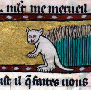 Create meme: the cat and the manuscript, white cat, a cat