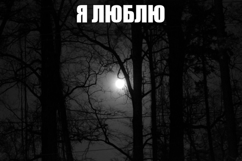 Create meme: dark photos, dark forest, night forest 