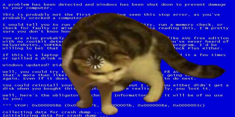 Create meme: cats with a boot on their head, a cat with a meme upload, a cat with a download