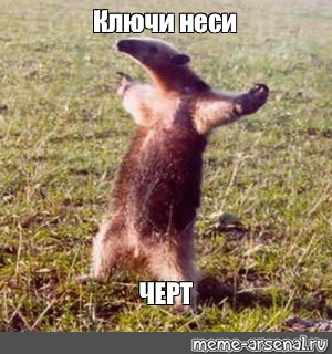 Создать мем: null