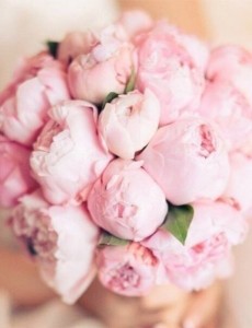 Create meme: bouquet of pink peonies, pink peonies bouquet, pink peonies